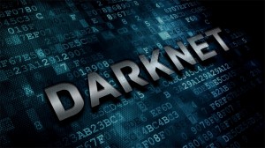 Some that have suggested the Darknet isn't so Dark have ignited a controversy causing a spate of vicious doxings and e-torture