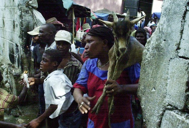 Hungry Haitians sacrifice a hungrier goat (and then eat it)