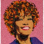 small_whitney houston pills